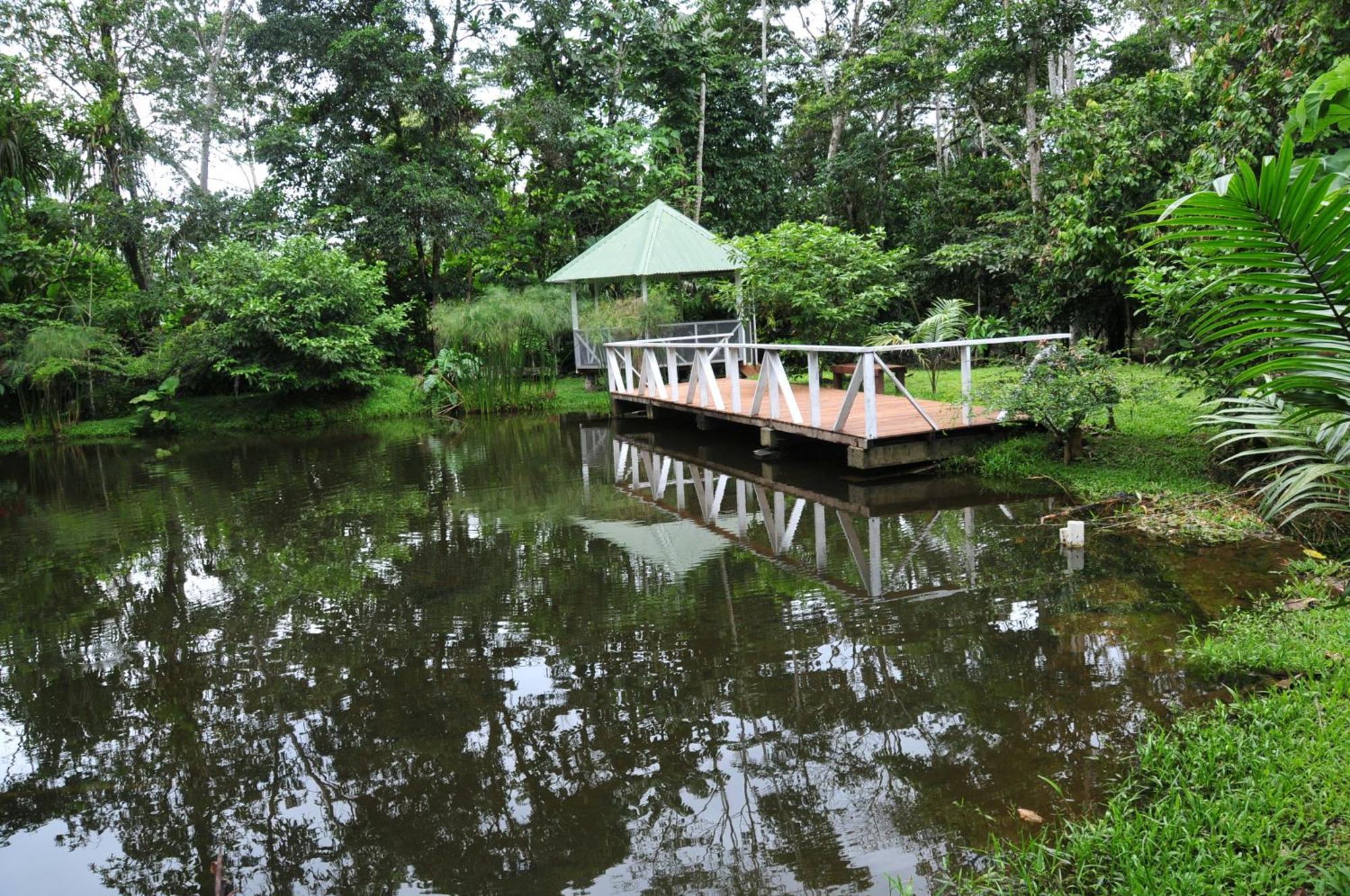 Terra Luna Lodge Тена Екстер'єр фото